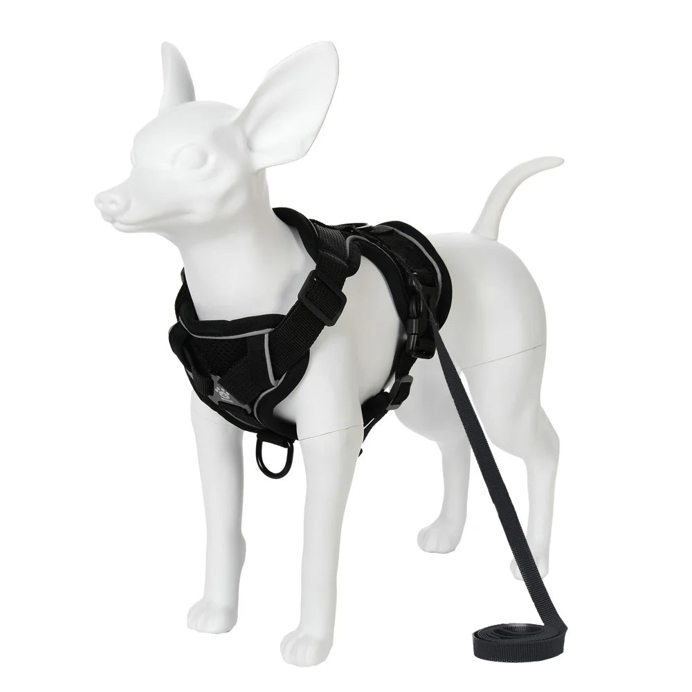 Adjustable Dog Harness Leash Set for Small Medium Dogs Cats Reflective Chest Strap Pets Harnesses Vest Outdoor Puppy Supplies - Curl and Collar