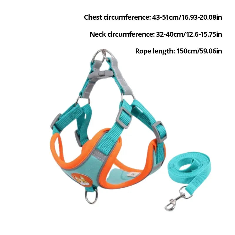 Adjustable No Pull Pet Reflective Dog Harness Lead Walking Running Leashes Cat Chest Strap Vest Leash - Curl and Collar