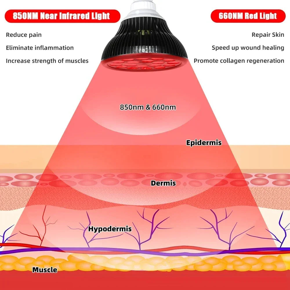 Red Light Therapy Lamp for Face 660&850nm with stand Infrared Light Therapy Device for Muscle Joint Pain Relief Skin HealthTools - Curl and Collar