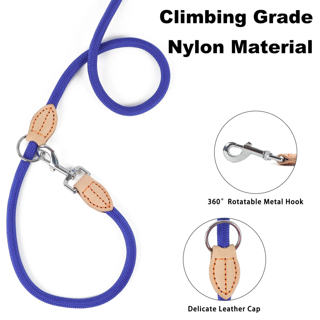 210cm Double Dog Leash – Adjustable Nylon Hands-Free Lead for Small & Medium Dogs - Curl and Collar