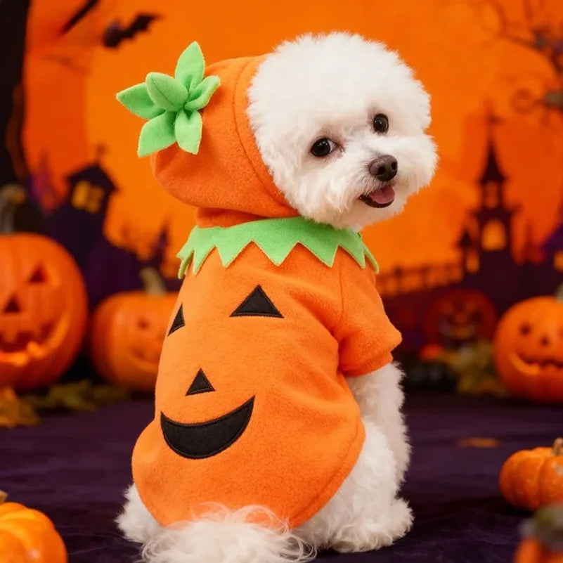 Hot Sale Halloween Pumpkin Pet Costume Autumn Winter Transformed Outfit Casual Daily Clothes For Dogs - Curl and Collar