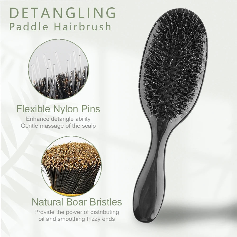 ARLANY Boar Bristle Hair Brush Massage Comb Hair Styling Tool Hair Beauty Salon Accessories Hairdressing Hair Extensions Tool - Curl and Collar