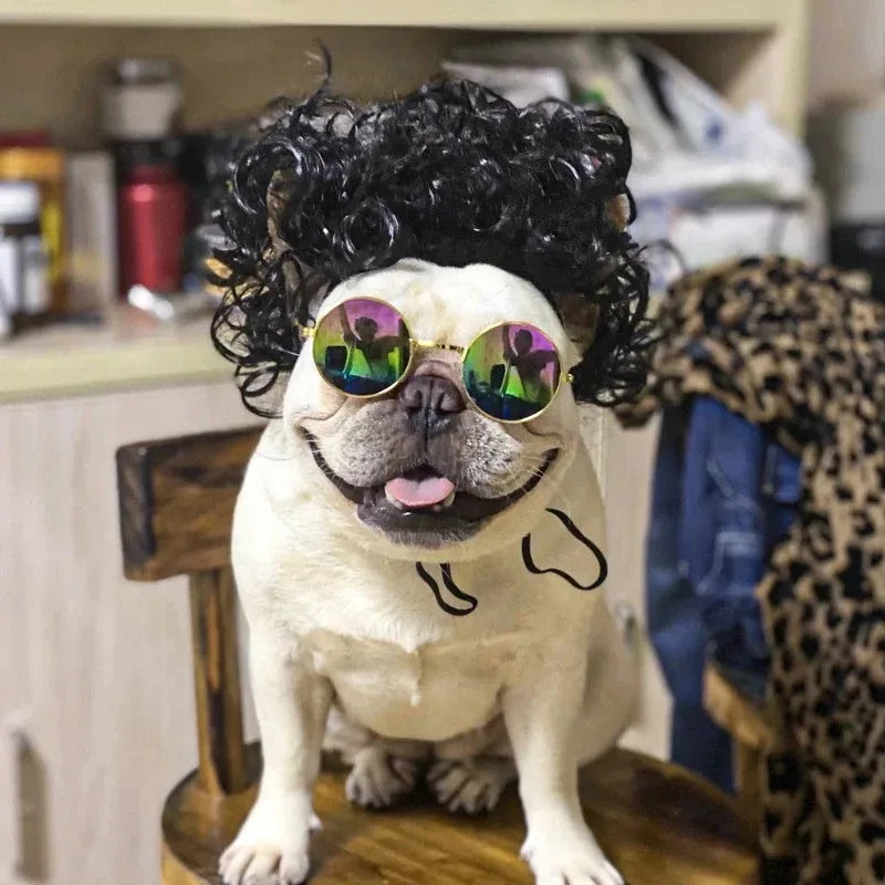 NONOR Pet Wigs Cosplay Props Funny Dogs Cats Cross-Dressing Hair Hat Costumes Head Accessories for Halloowen Christmas Supplies