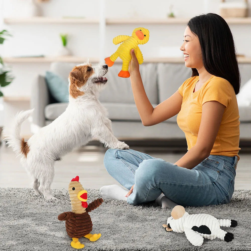 5 Pack Dog Toys Plush Dog Squeaky Toys, Assortment Value Bundle Animal Pet Toy for Small Medium Large Dogs, Stuffed Puppy Chew - Curl and Collar
