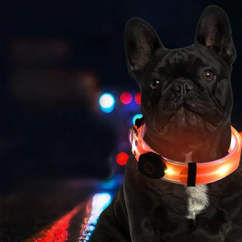Glowing Dog Collar Leash Waterproof Adjustable Dog Neck Collar Rechargeable Weather Proof Dog Led Light Collar For Night Walking - Curl and Collar