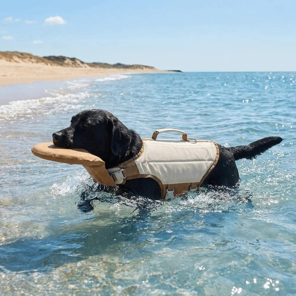 Adjustable Dog Life Jacket High Buoyancy Breathable Pet Swimming Suit Waterproof Safety Handle Dog Flotation Vest Swimming - Curl and Collar