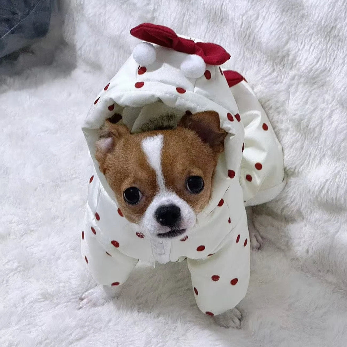 Pet Autumn/Winter Bow Warm Coat, Cat Thick Cute Dress Dog Clothes for Small Dogs Puppy Clothes