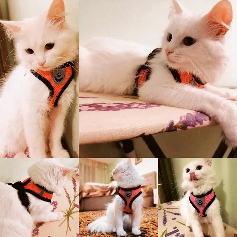 Summer Cat Dog Harness Lead Leash Adjustable Vest Polyester Mesh Breathable Harnesses Reflective for Small Dog Cat Lesah - Curl and Collar