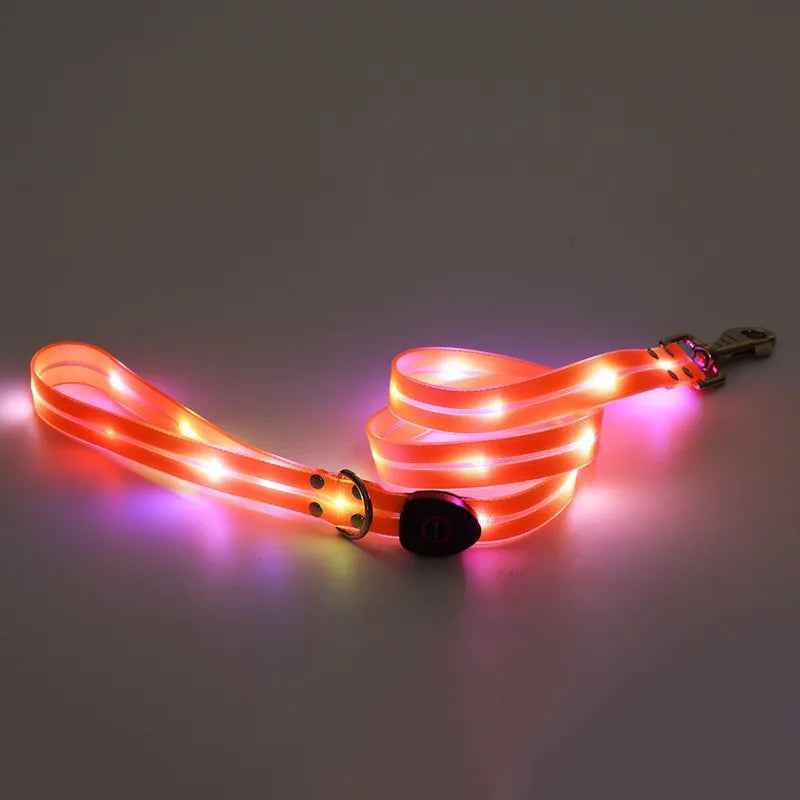 Glowing Dog Collar Leash Waterproof Adjustable Dog Neck Collar Rechargeable Weather Proof Dog Led Light Collar For Night Walking - Curl and Collar