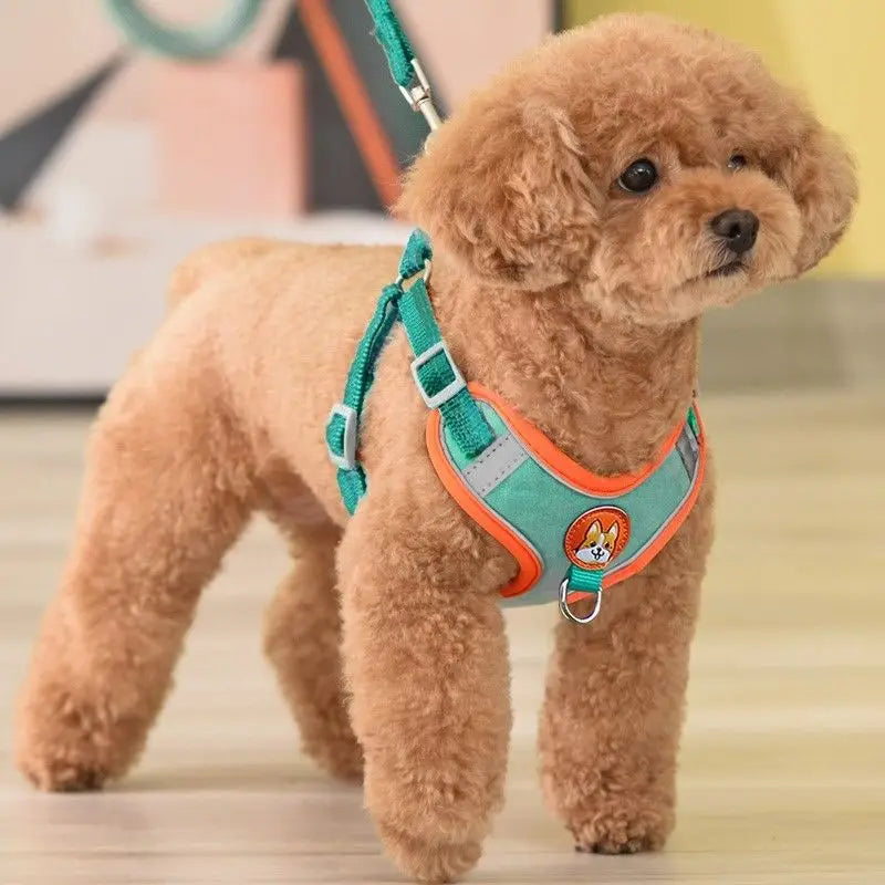 Adjustable No Pull Pet Reflective Dog Harness Lead Walking Running Leashes Cat Chest Strap Vest Leash - Curl and Collar