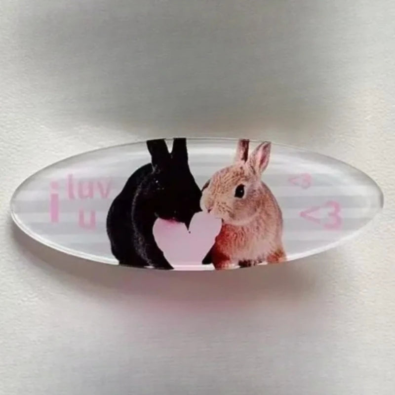 Y2K Rabbit Animal Hair Clip Set Cute Retro Style Oval Barrettes Bunny Music Doll & Piano Print Hairclips Jewelry - Curl and Collar