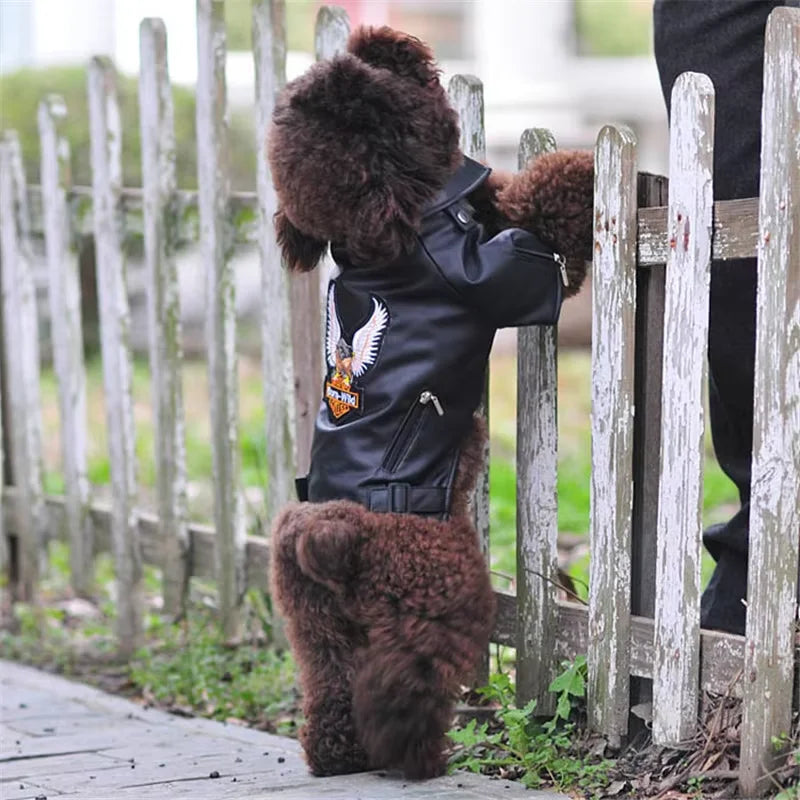 Glorious Eagle Pattern Dog Coat PU Leather Jacket Soft Waterproof Outdoor Puppy Outerwear Fashion Clothes For Small Pet - Curl and Collar