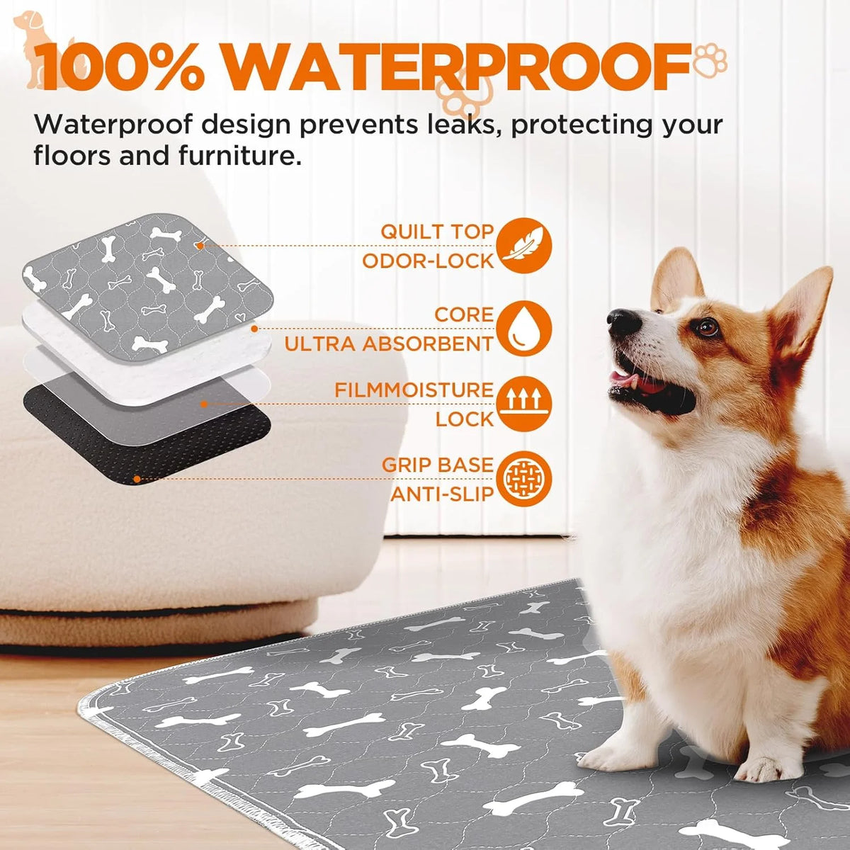 Washable Dog Pee Pads, 2 Pieces 18inchx24inch / 34inch X 36inch Reusable Puppy Pee Pads, Absorbent Pee Pads with Bone Print, Non-Slip Waterproof Pet Training Pads, Suitable for Sofas, Hardwood Floors - Curl and Collar