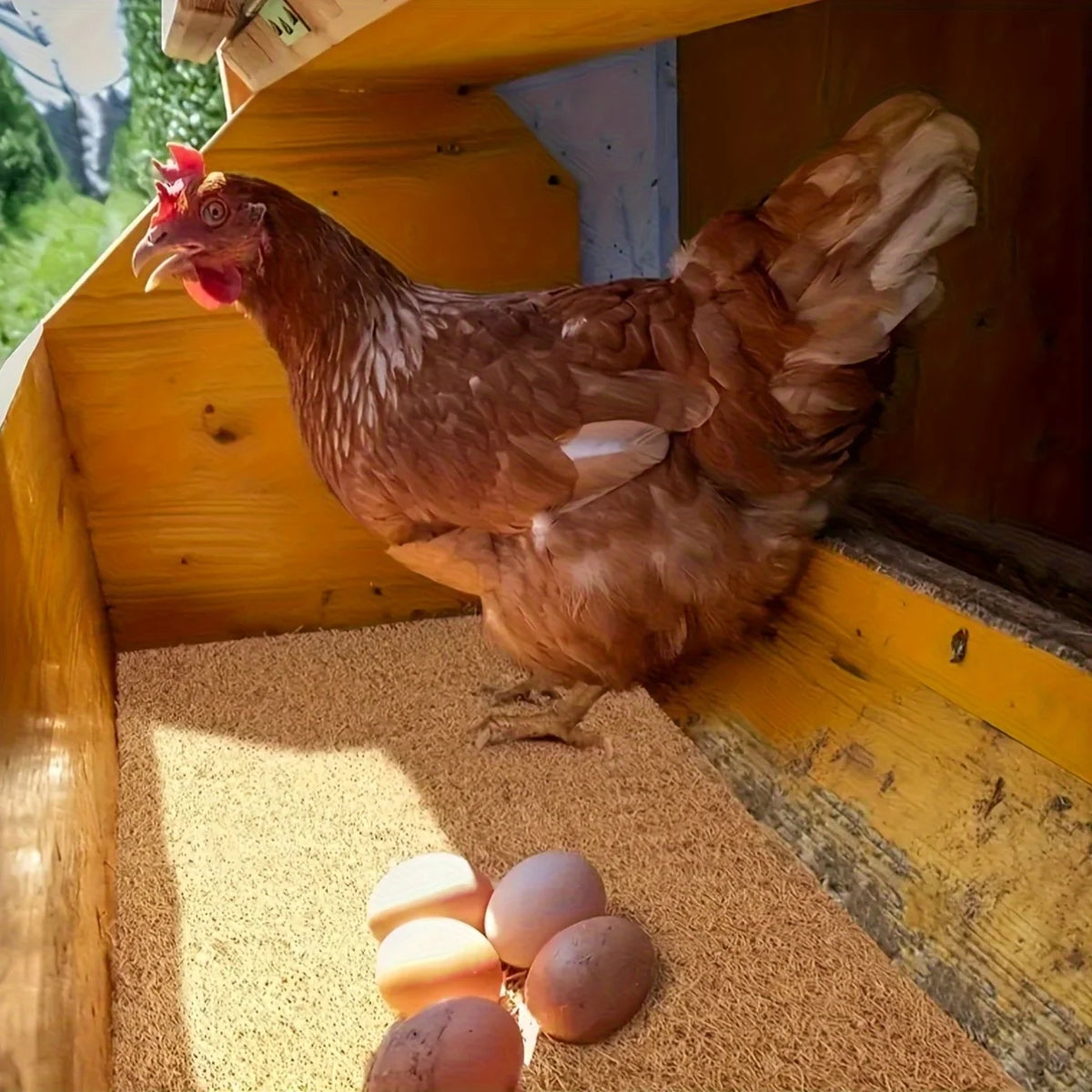 10Pcs/1Pc Nesting Liner Nest Box Chicken Mat, Nest Mat Box Liner, Chicken Coop Chicken Mat, Chick Mat Bird Nest Mat Rabbit Mat - Curl and Collar