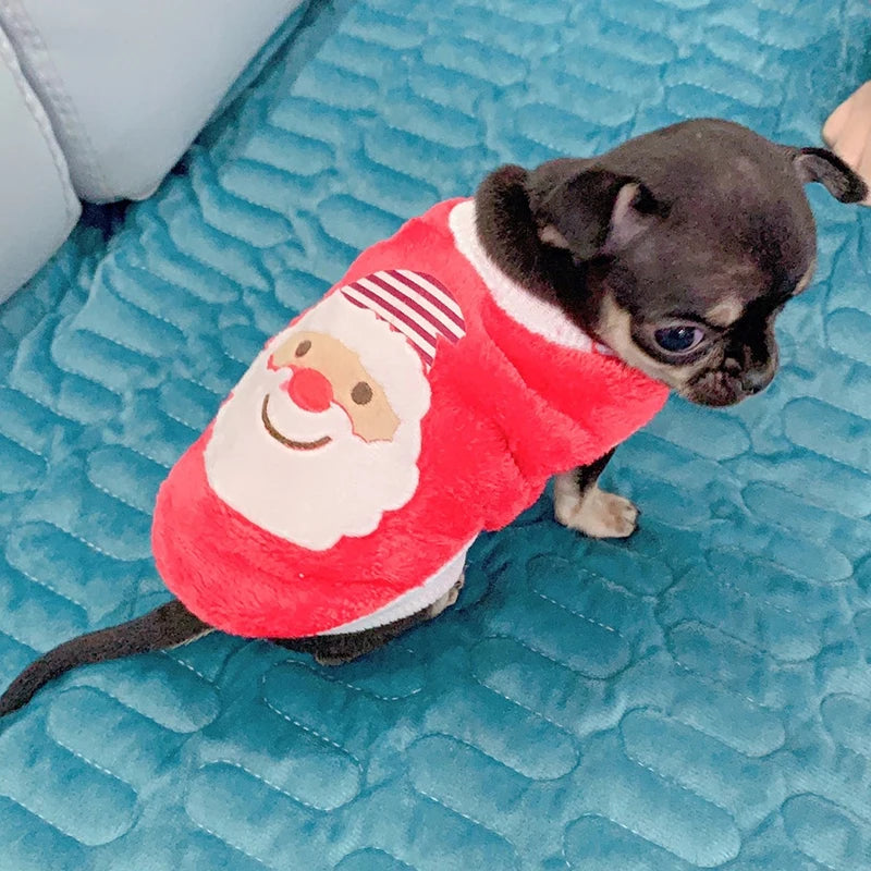 Cute Print Tea Cup Dog Sweater Winter Warm Fleece Pet Clothes for Small Dogs Teddy Chihuahua Puppy Pullovers Mascotas Clothing - Curl and Collar