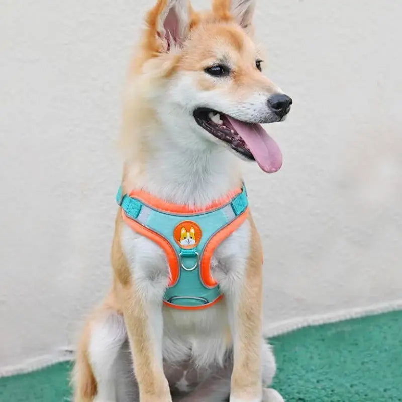 Adjustable No Pull Pet Reflective Dog Harness Lead Walking Running Leashes Cat Chest Strap Vest Leash - Curl and Collar