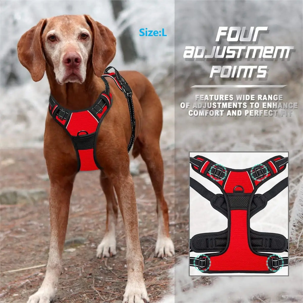 Adjustable No Pull Dog Harness Front Clip Reflective Comfortable Handle for Medium to Large Dogs Walking - Curl and Collar
