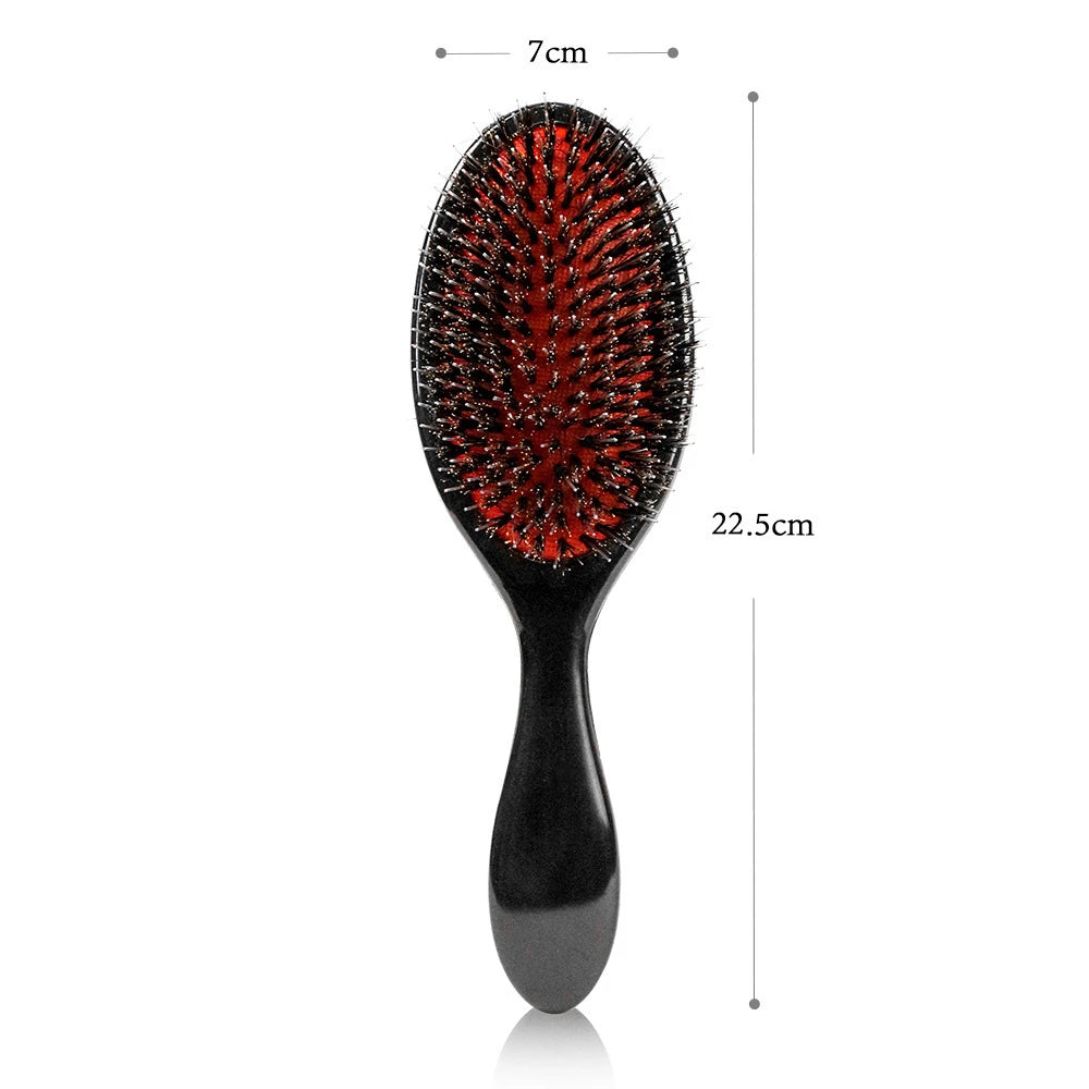 Barber Salon Hair Brush Hairdressing Detangling Combs Head Scalp Massager Comb Women Haircut Hairbrush Accessaries - Curl and Collar