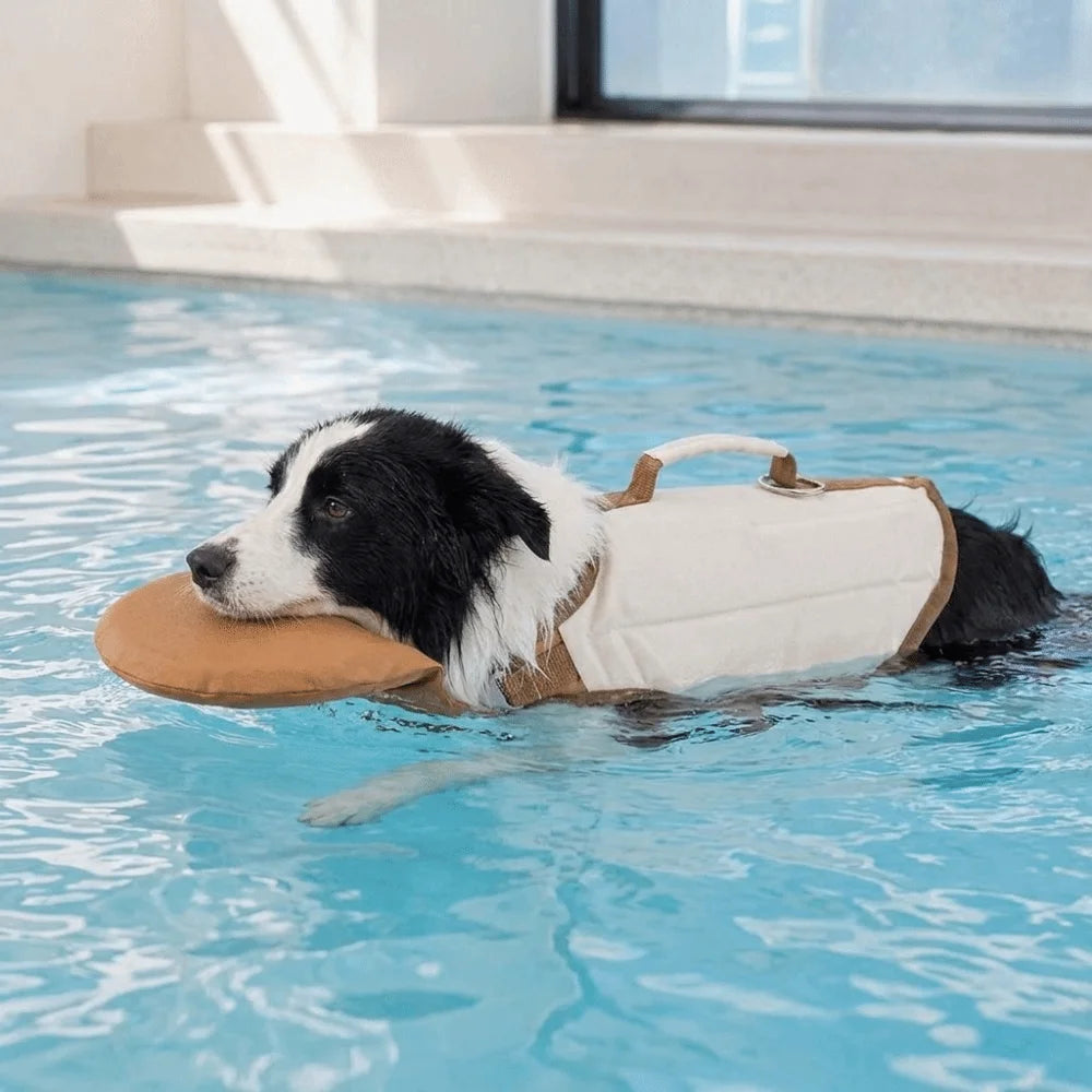 Adjustable Dog Life Jacket High Buoyancy Breathable Pet Swimming Suit Waterproof Safety Handle Dog Flotation Vest Swimming - Curl and Collar